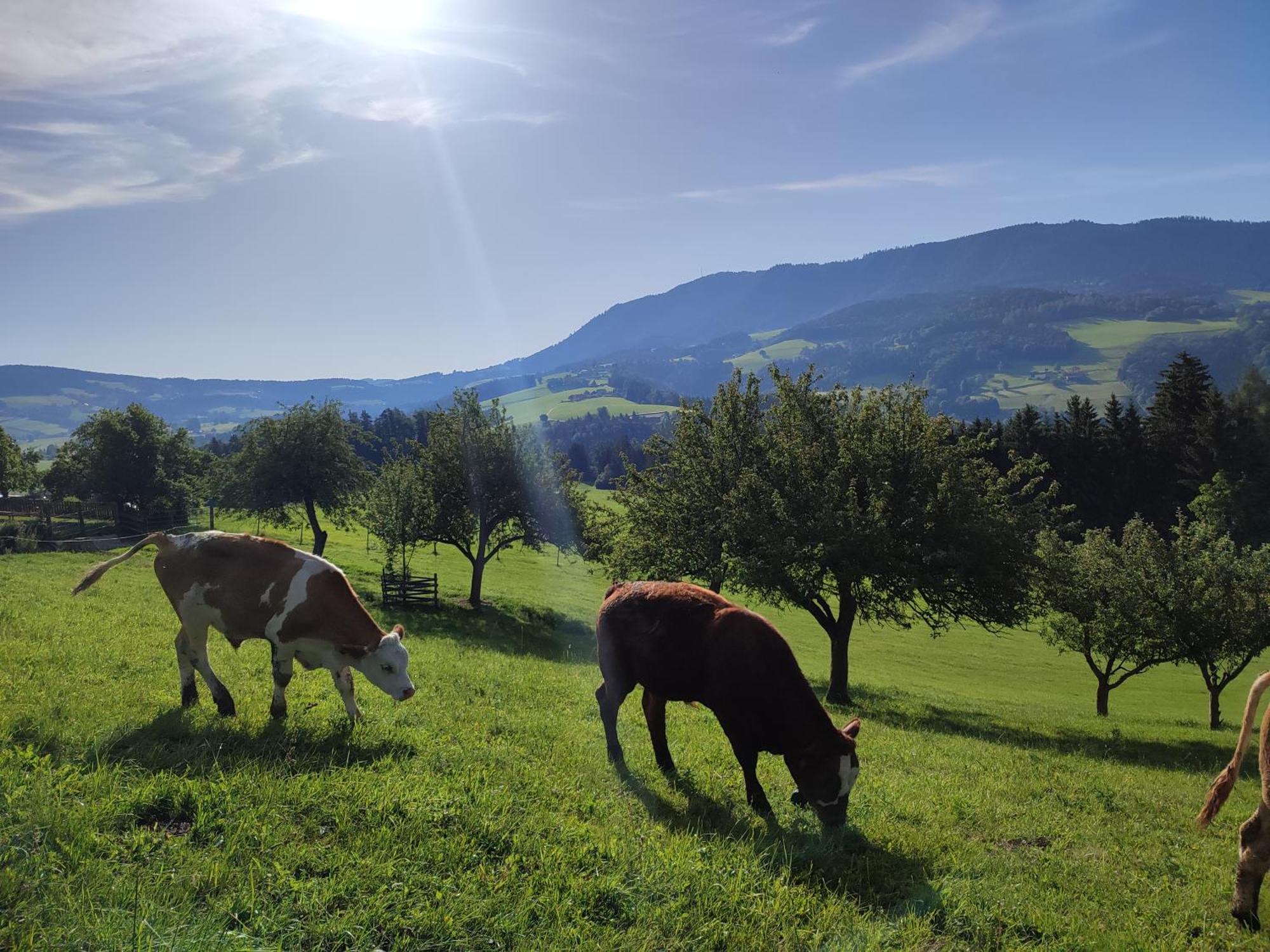 Promschhof Semriach Exterior foto